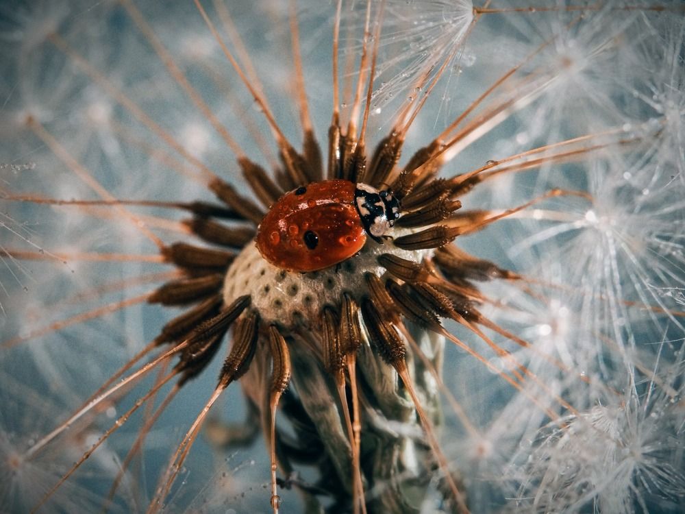 Photograph by Юлия Иванова