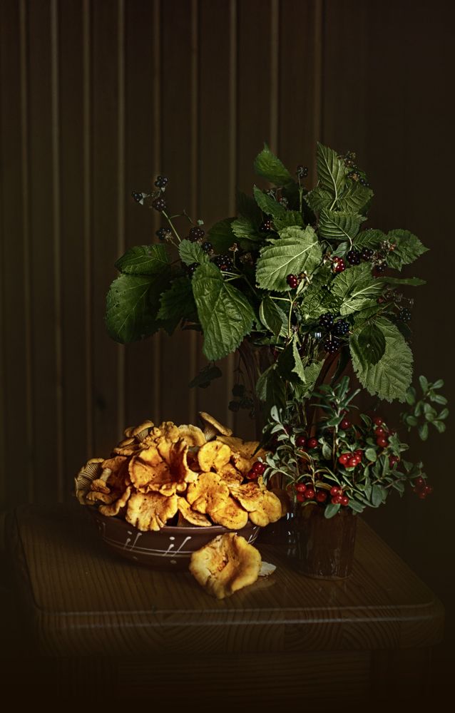 Лесной натюрморт