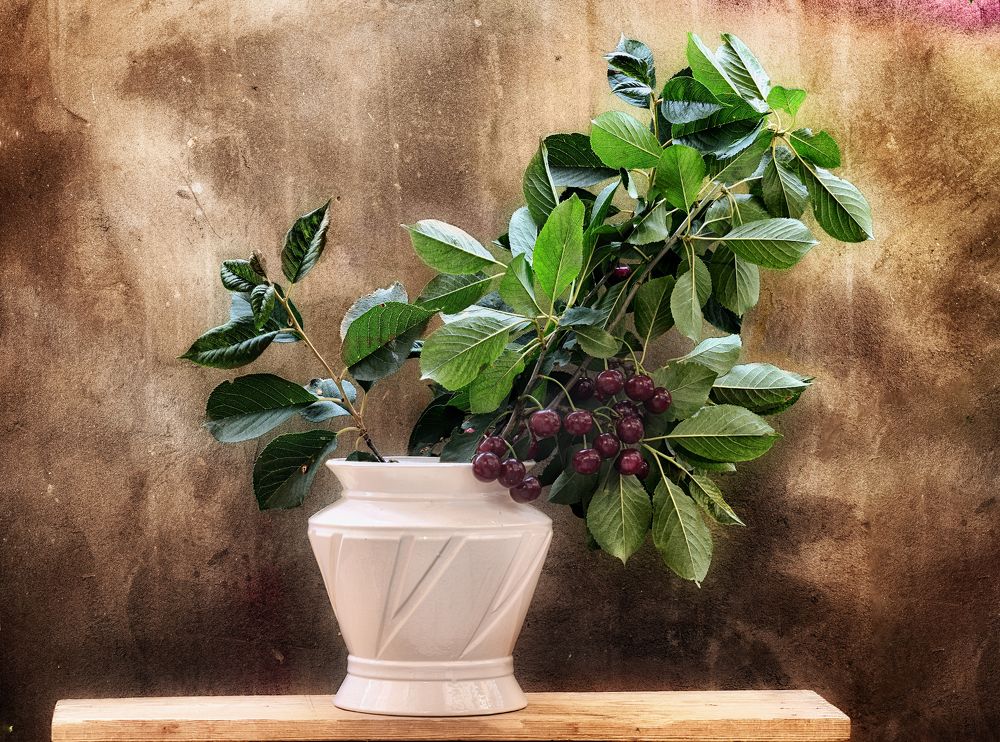 Photograph by Владимир Кваша