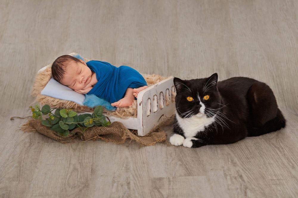 Photograph by Евгения Дахлова