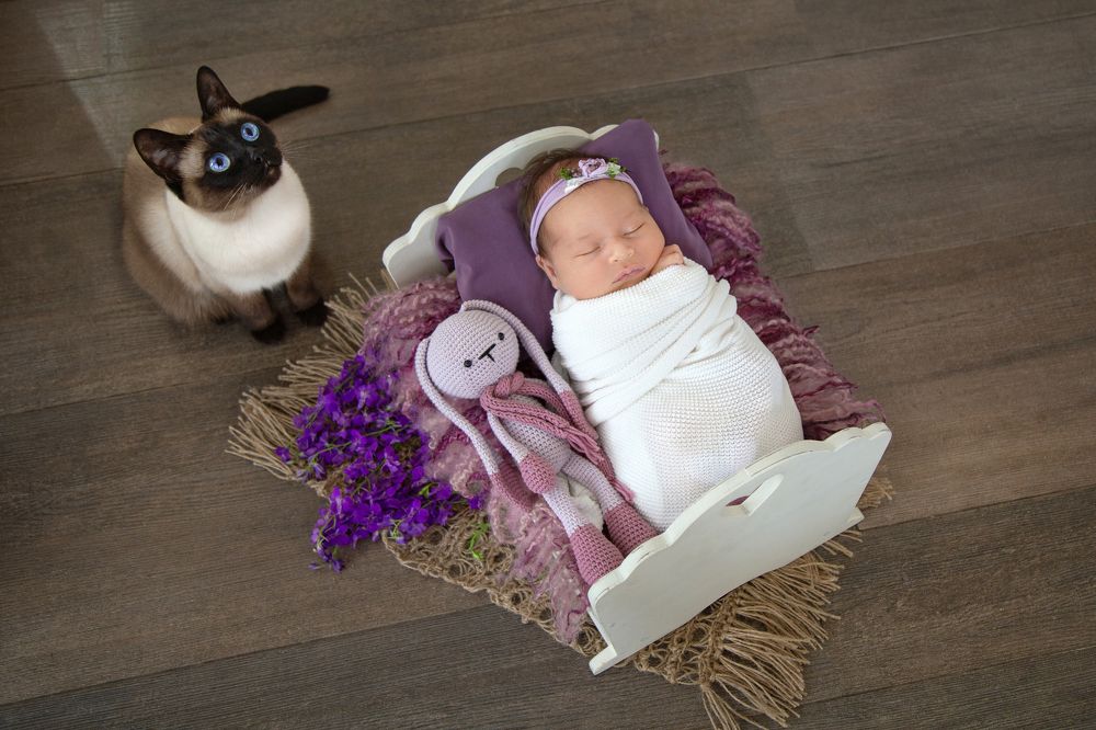 Photograph by Евгения Дахлова