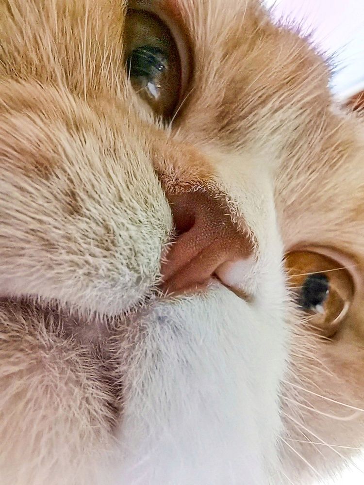 Photograph by Оксана Урбанович