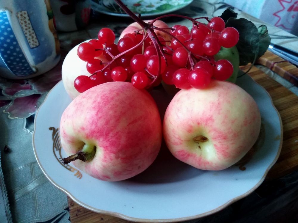 Photograph by Елена Малкова