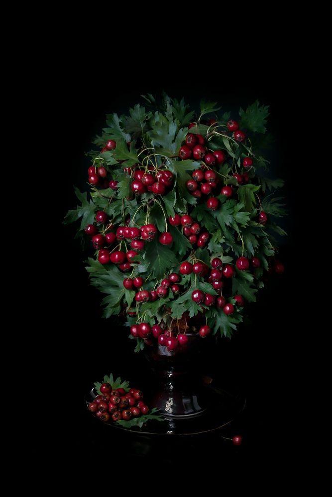 Photograph by Татьяна Колесникова