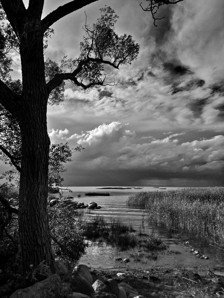 Evening on the Gulf of Finland. / Вечер на Финском заливе.