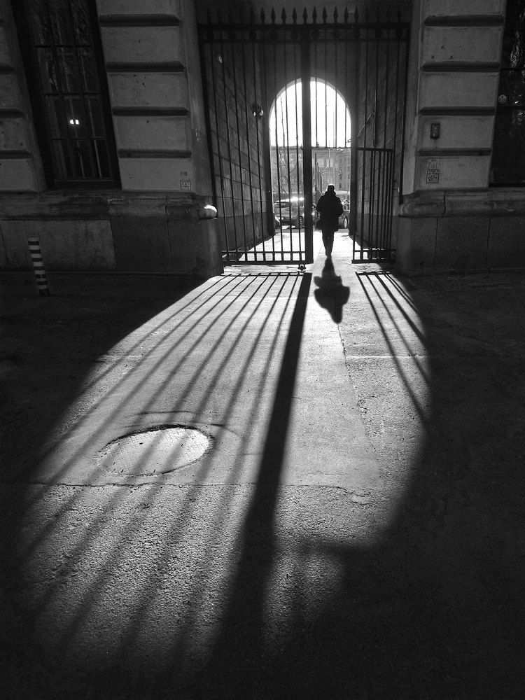 Фотография автора Александр Далла