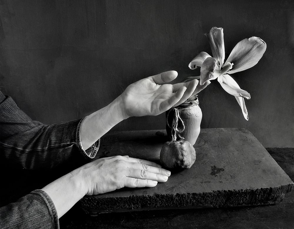 Не улетай, когда станешь птицей