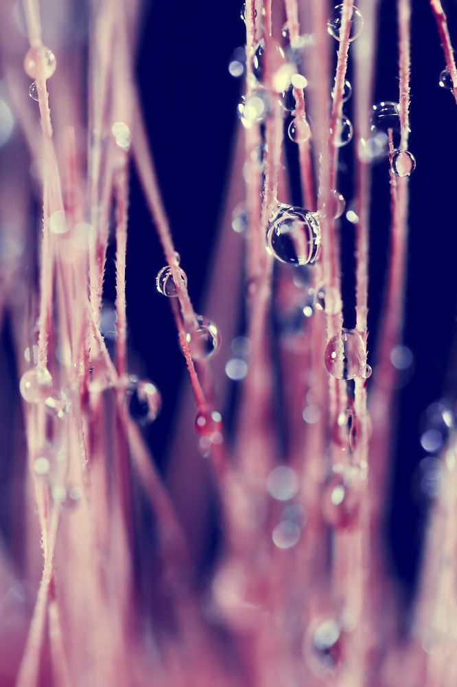 Photograph by Ирина Кротова