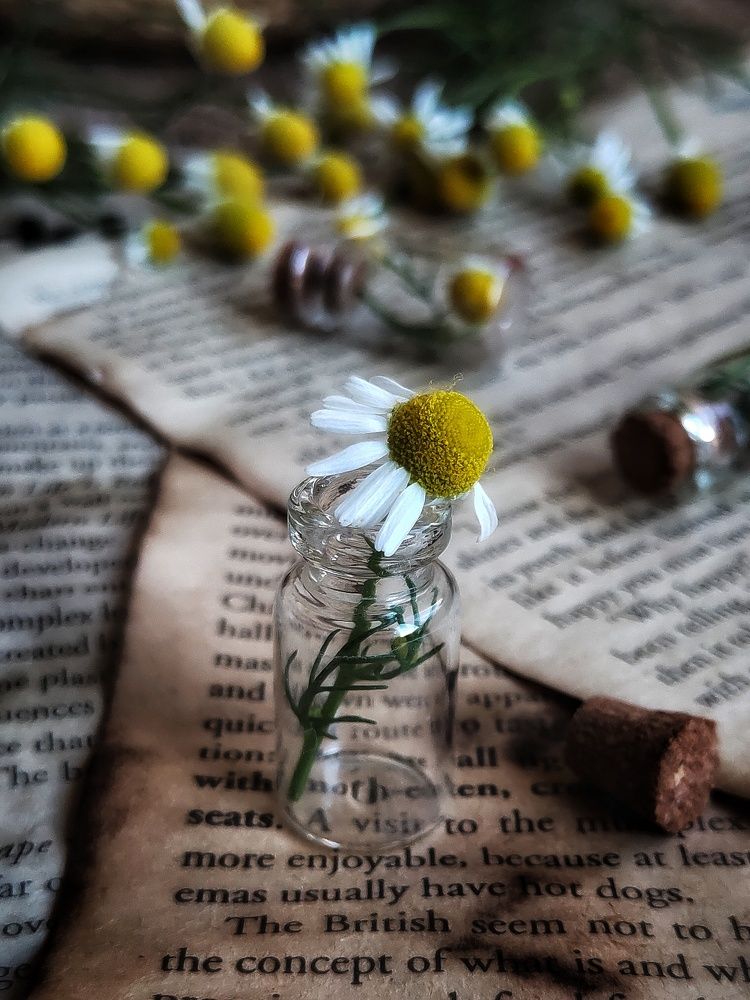 Фотография автора Ольга Игуменова