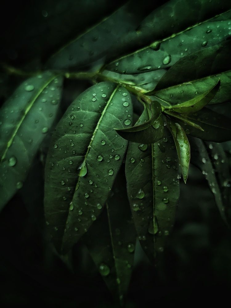 Фотография автора Ольга Игуменова