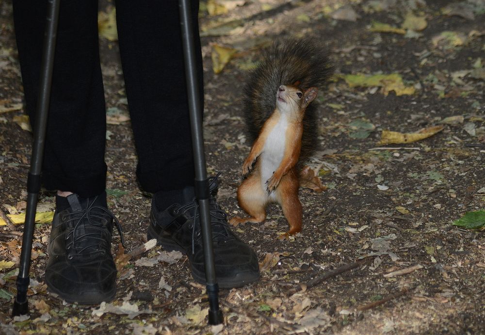 Photograph by Алексей Козлов