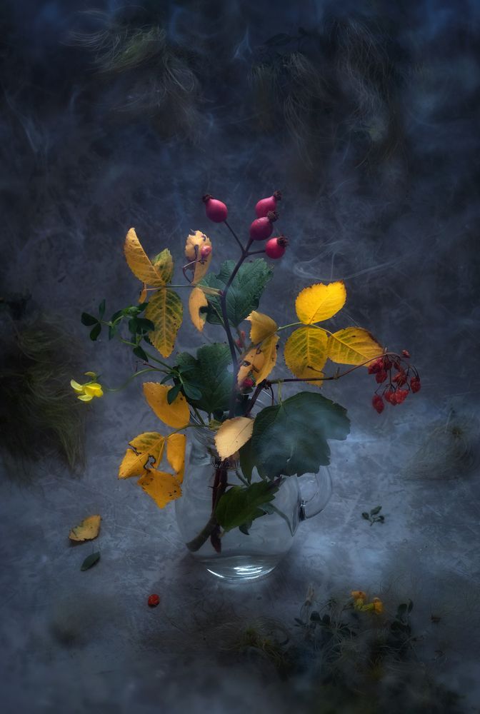 Photograph by Татьяна Колесникова