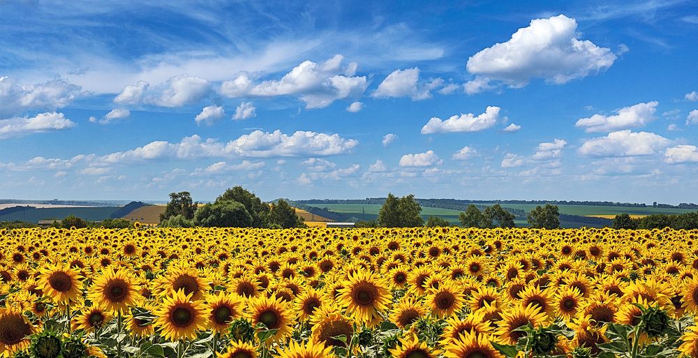 Июльские настроения