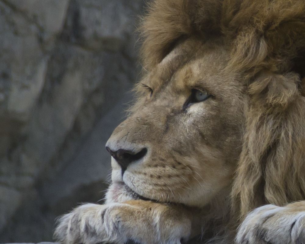 Photograph by Anna Gapanovich