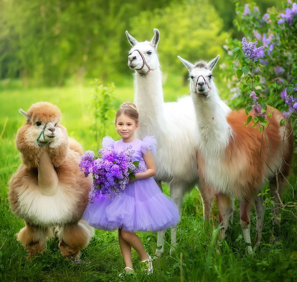 Photograph by Татьяна Гурова