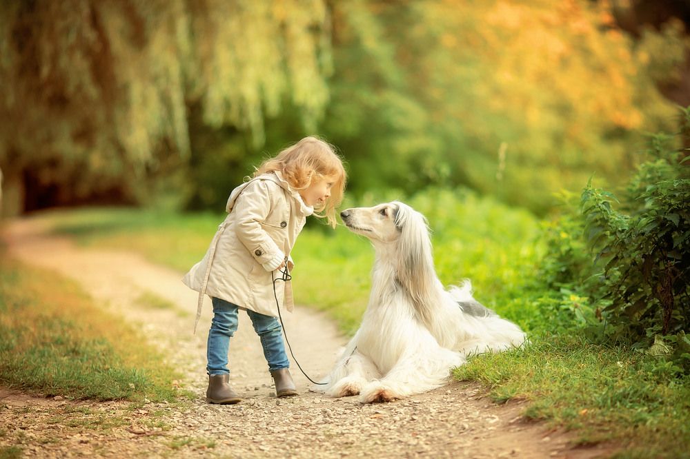 Photograph by Татьяна Гурова