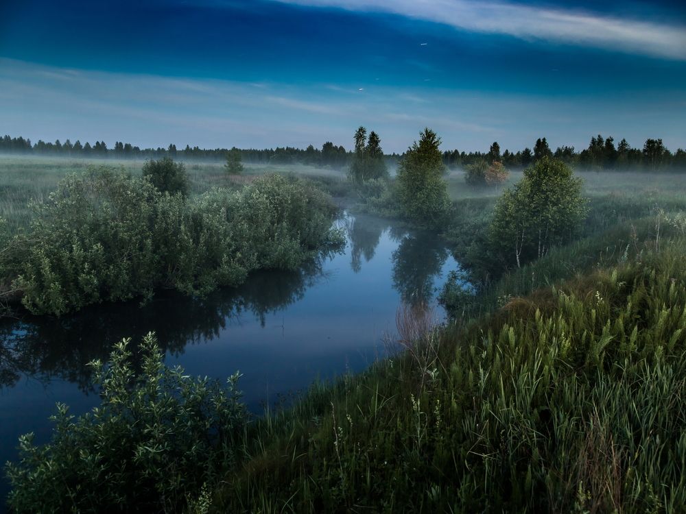 То ли день, то ли ночь