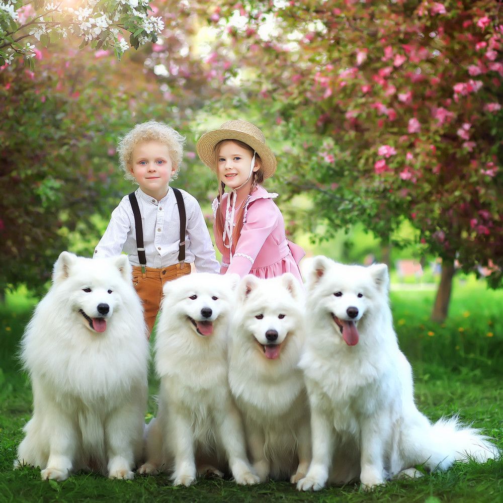 Photograph by Татьяна Гурова