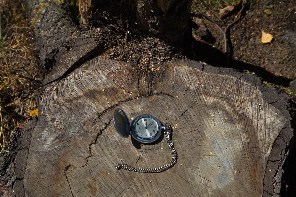 Время... из серии Жизнь...!)