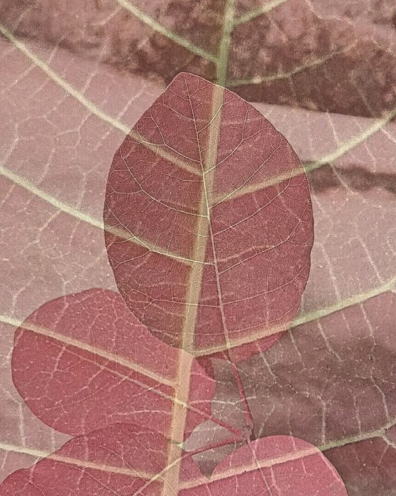 Мое восхищение!