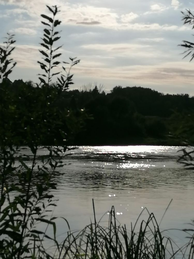 Photograph by Светлана Замятина