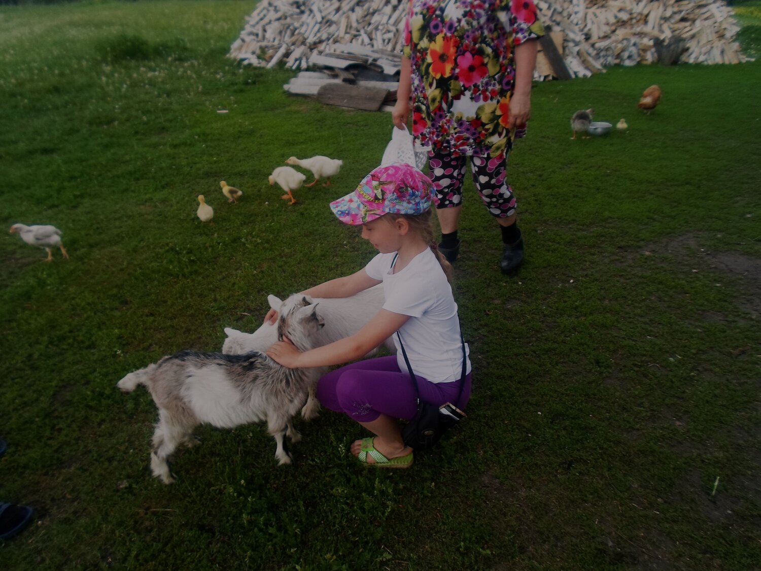 Photo #6438889