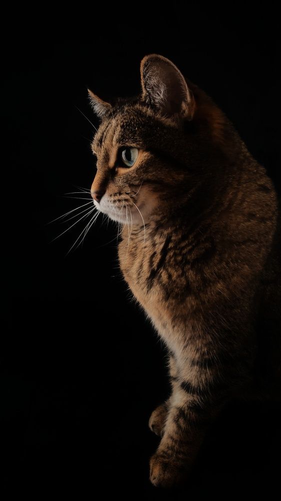 Photograph by Инна Соловей