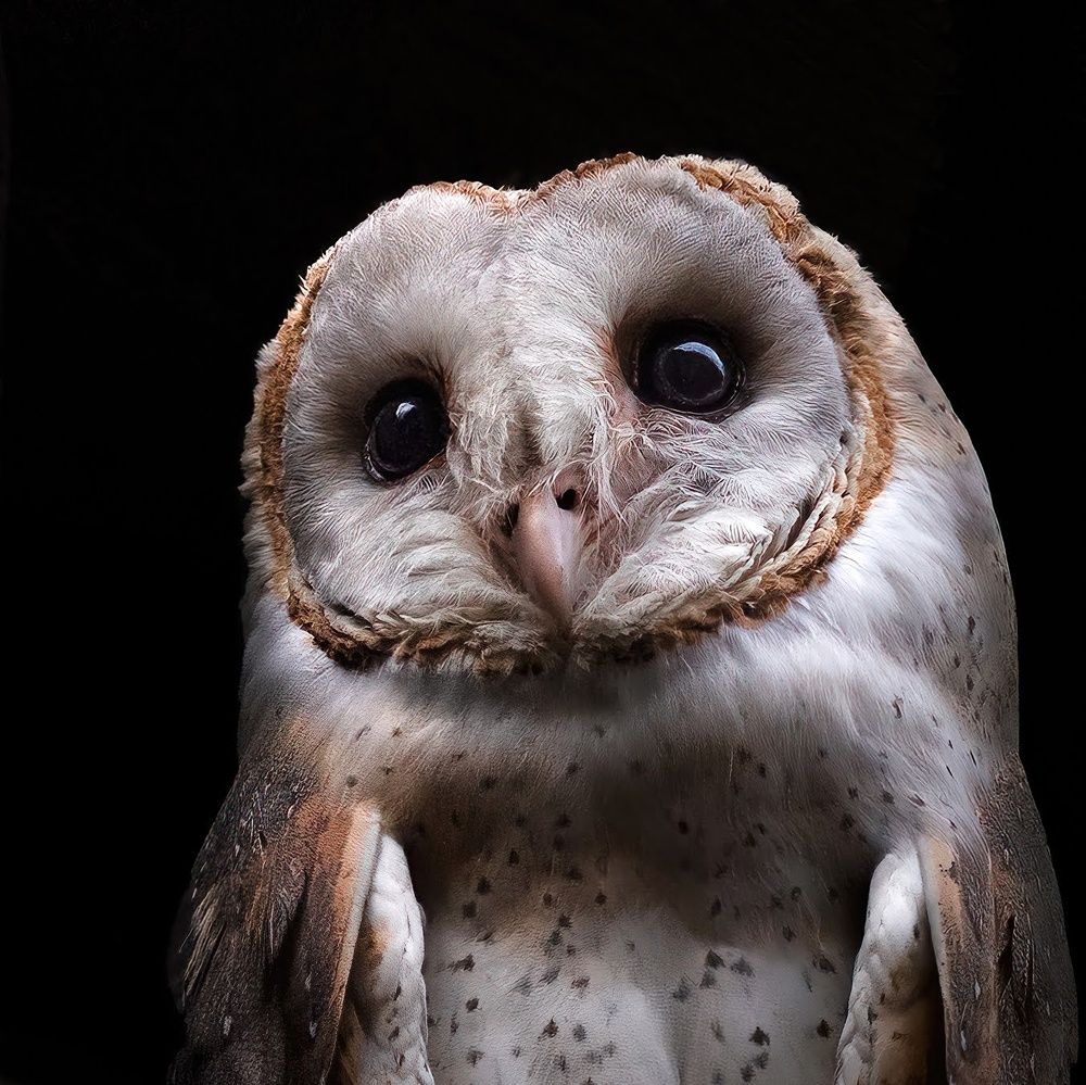 Photograph by Madhurya Mozumder