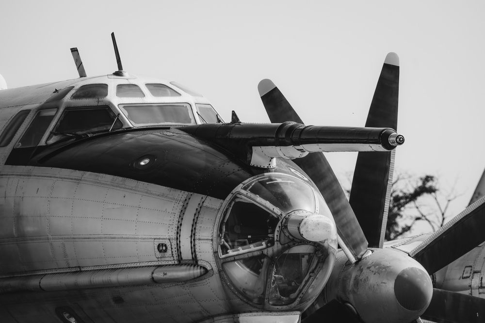 Photograph by Demyanenko Viktor