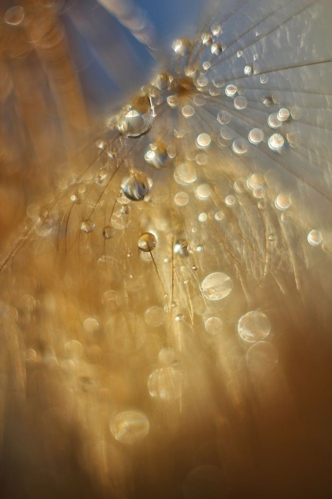 Photograph by Евгения Уманец