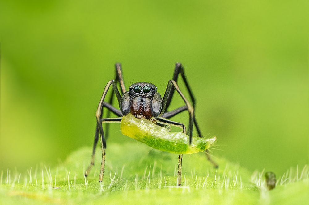 Photograph by Mukesh Tripathi