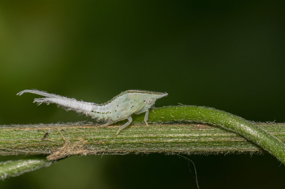 Photograph by Mukesh Tripathi