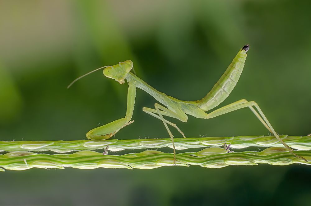 Photograph by Mukesh Tripathi