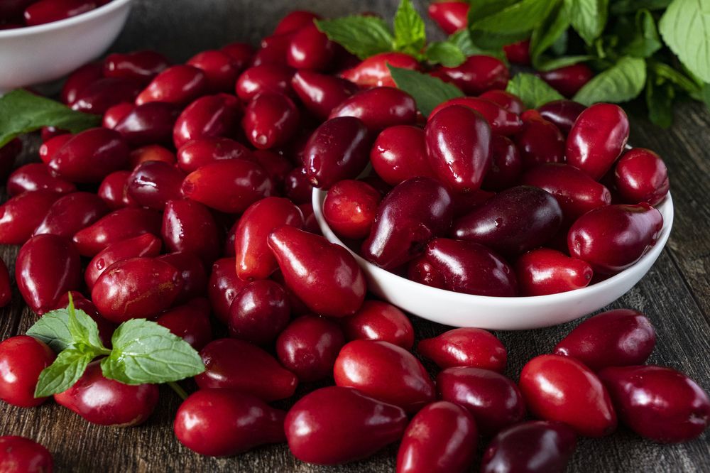 Кизиловый урожай )