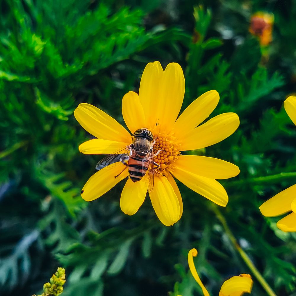 Photograph by Mostafa Kamel