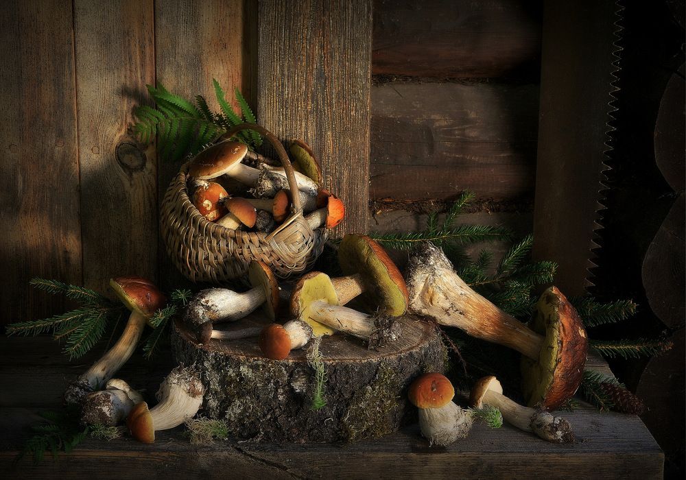 Photograph by Сергей Алексеев