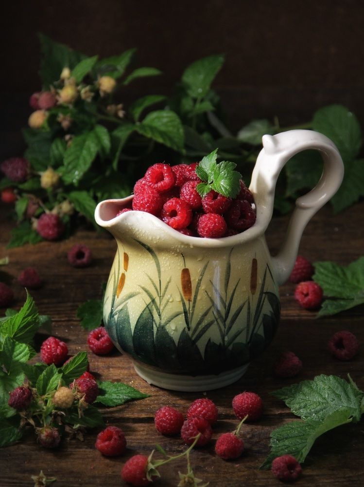 Фотография автора Елена Доянова