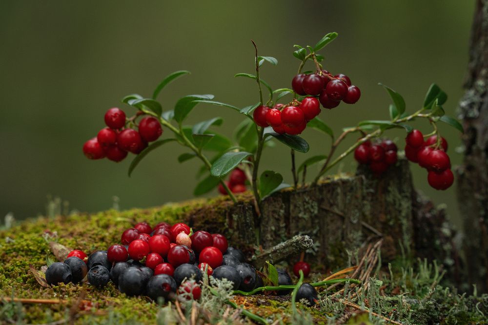 Photograph by Денис Ярви