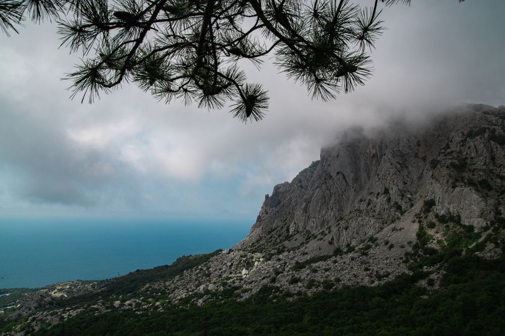 Photograph by Анастасия Пельменёва