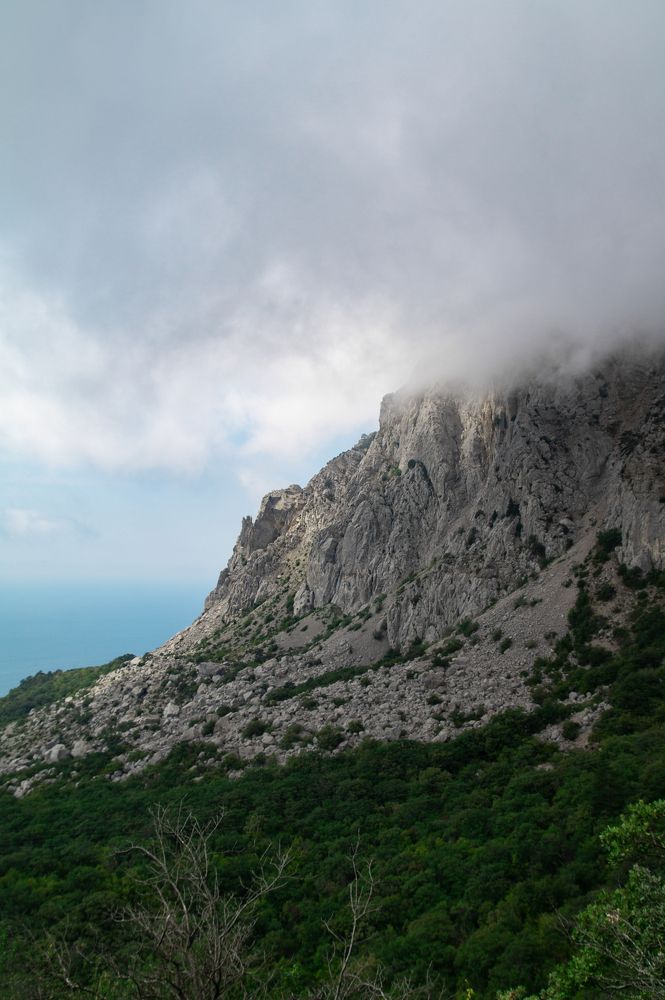 Photograph by Анастасия Пельменёва