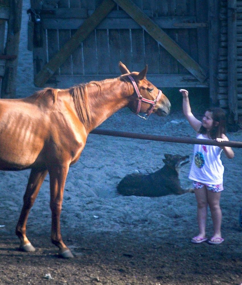 Photograph by Stoyan Baev