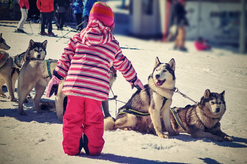 Photograph by Stoyan Baev