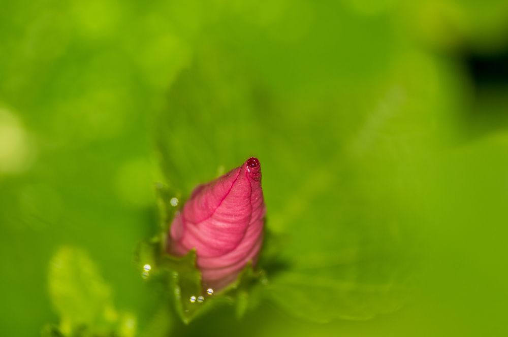 Фотография автора Александр Рудный