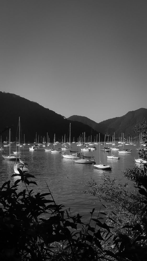 Photograph by Jean Cursino