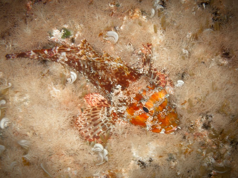 Photograph by Sergi Sedo