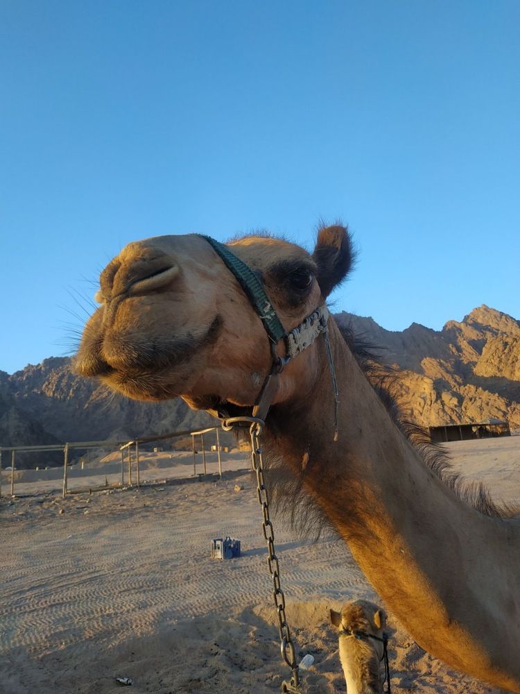 Photograph by Виктория Жуковская