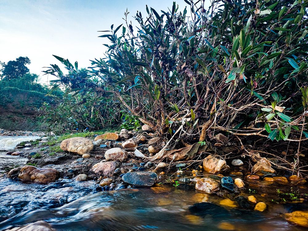 Photograph by Shubham Pati