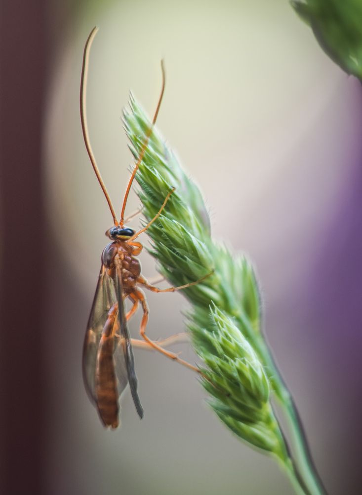Photograph by Александр Устинов