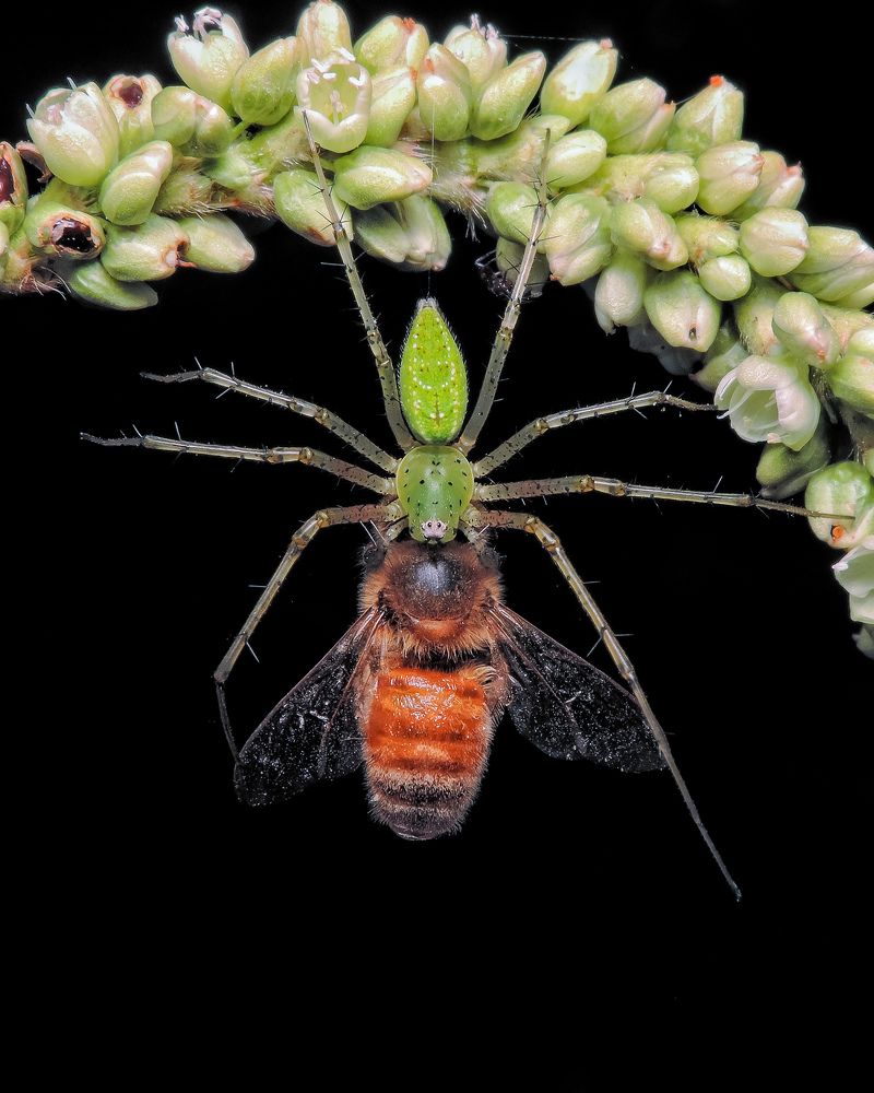 Photograph by Protik Chowdhury