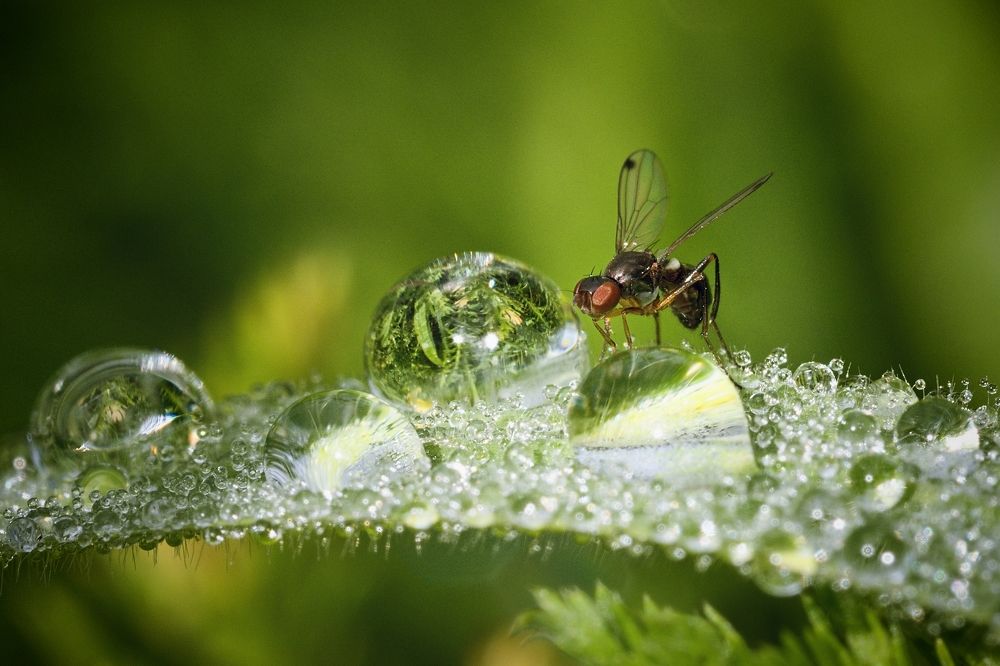Photograph by Roman Chudaš